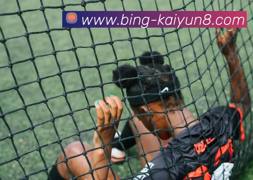 App Interface Preview